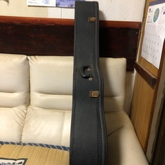 アコーステッキギターの画像