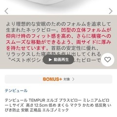 テンピュール　枕　ミレニアムピロー　Lの画像