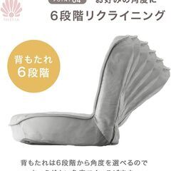 2-3　未使用/新品　アウトレット　 座椅子 シェルデザイン 6段階 リクライニング ポケットコイル リクライニング座椅子 くすみカラー フロアチェア コンパクト 折りたたみ収納 極厚の画像