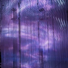 1/24京都チームラボとイタリアン - 友達