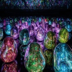 1/24京都チームラボとイタリアン