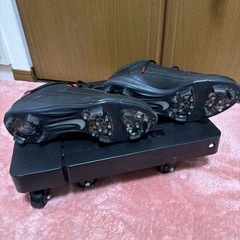 NIKE ポイントスパイクの画像