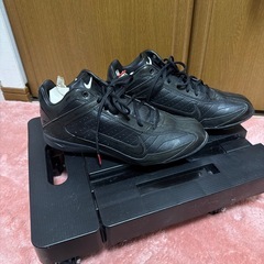 NIKE ポイントスパイクの画像