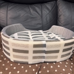 ペット用ベット　の画像