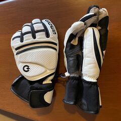 GOLDWIN スキー・スノーボード用グローブの画像