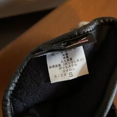 GOLDWIN スキー・スノーボード用グローブの画像