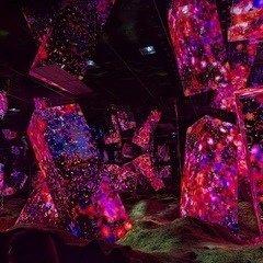 1/24京都チームラボとイタリアン − 京都府