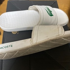 ラコステセットの画像