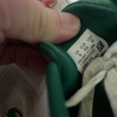 ラコステセットの画像