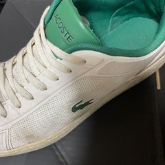 ラコステセットの画像