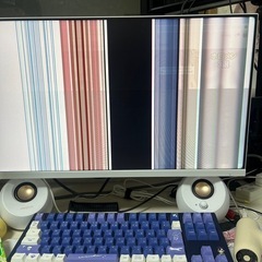 モニター　ジャンクの画像