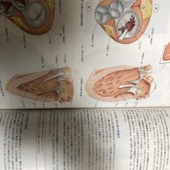 カラー人体解剖学本の画像