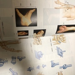 カラー人体解剖学本の画像