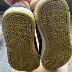 Timberland（スニーカー）の画像