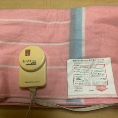 電子敷き毛布の画像