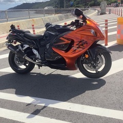 スズキ　ハヤブサの画像