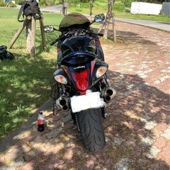 スズキ　ハヤブサの画像