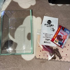 ベタ  水槽付き5点セットの画像