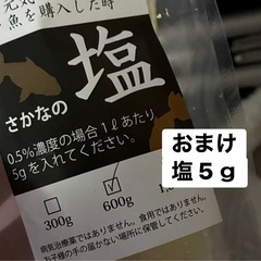 ベタ  水槽付き5点セットの画像