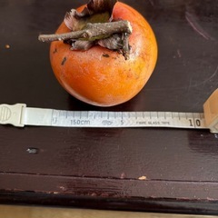 無農薬渋柿　約30個干し柿用の画像