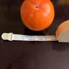 無農薬渋柿　約30個干し柿用の画像