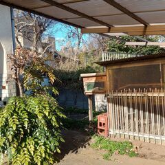 廃コンテナ　ほしい人、さしあげます。（持って帰れる手段のある人限定）の画像