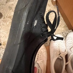 vansスニーカーの画像