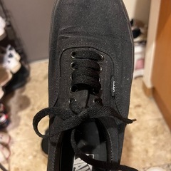 vansスニーカーの画像