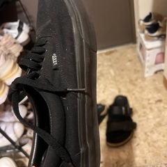 vansスニーカーの画像