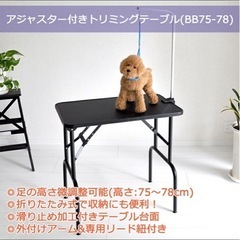 決まりました！！の画像