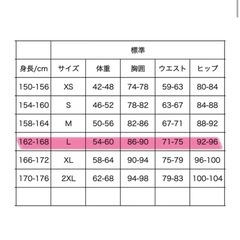 底値BESTDIVE ロンスプ　Lサイズ ウエットスーツ タッパーロングスリーブ SUITの画像