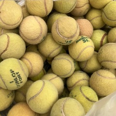 テニスボール　練習用90球の画像