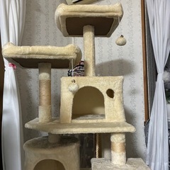 キャットタワーとトイレの画像