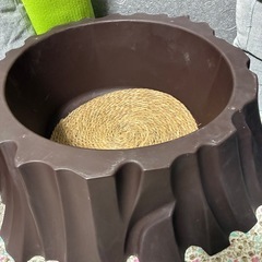 キャットタワーとトイレの画像