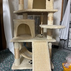 キャットタワーとトイレの画像