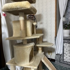 キャットタワーとトイレの画像