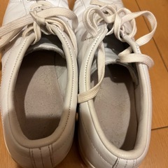 Hyke adidas HAILLET ハイレット 28センチの画像