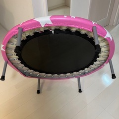 ミニトランポリンの画像