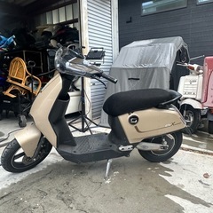 実働！SUPER SOCO CUX (No foreigners allowed！)の画像