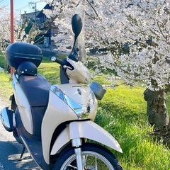 HONDA SH MODE  バイクの画像