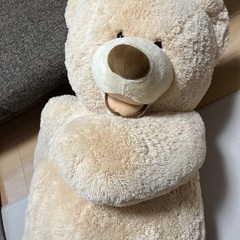 コストコ くま テディベア 特大 135cmの画像