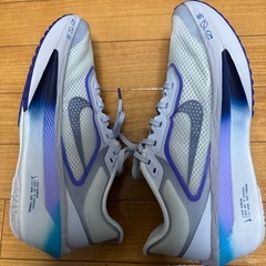 ズームフライ6の画像