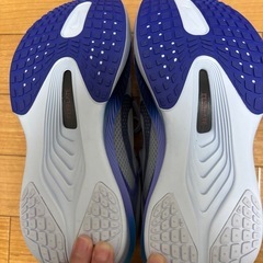 ズームフライ6の画像