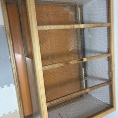 爬虫類ケージの画像