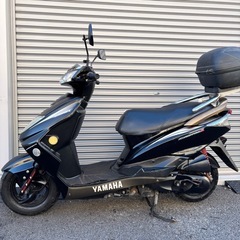 4378.大柄な一台　シグナスZ 始動性良好　千葉県柏市　即日配送、自走引き取りも可能の画像