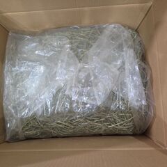 1番刈りチモシーの画像