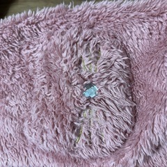 anyFAMネコアウターの画像