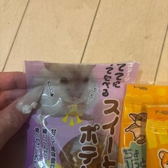 ハムスターおやつ  の画像