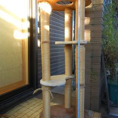 キャットタワー　中古　差し上げます　直接取りに来られる方の画像