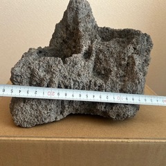 水槽用ADA雲山石&浅間山溶岩石の画像